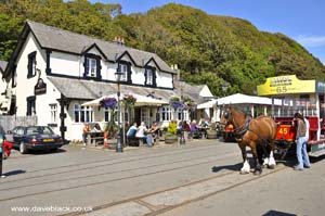 Robert the horse standing outside the Terminus Tavern in Douglas, Isle of Man