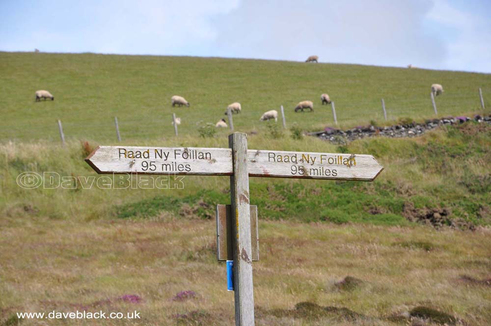 Coastal Path Signpost