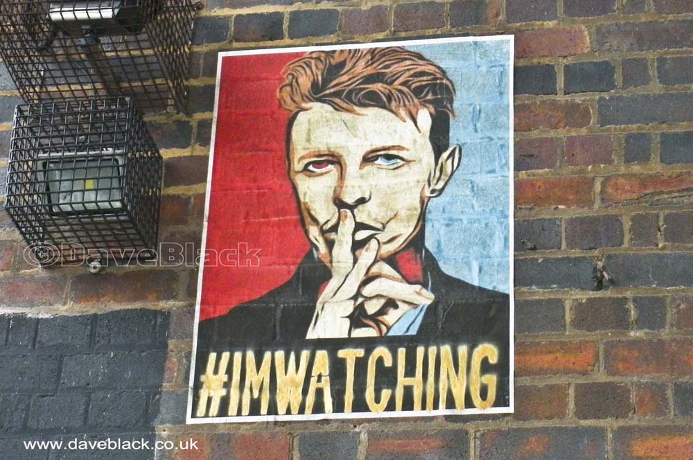 David Bowie Is Watching David Bowie Is Watching