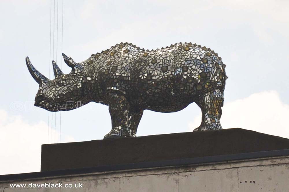 A Rhino on the Roof A rhinestone rhino on the roof in the Gay Village
